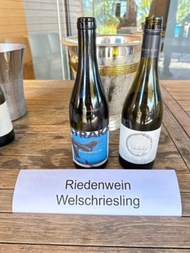 Regional wine, local wine, Ried: The pyramid of origin offers consumers transparency with regard to the origin of the grapes. (Bild: Christian Schulter)