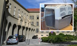 Die Staatsanwaltschaft Krems bekam vom BMJ einen Ermittlungsauftrag. Der Kindsvater wurde letzte ...