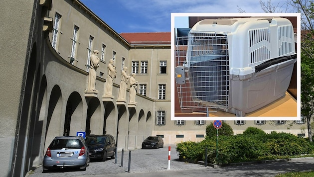 The public prosecutor's office in Krems received an investigation order from the Federal Ministry of Justice. The child's father was questioned by the police last week. (Bild: Krone KREATIV/Patrick Huber, APA/Christopher Eckl)