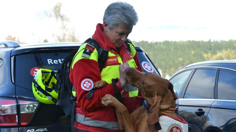 Great excitement among the dogs (Bild: Fister Katrin)