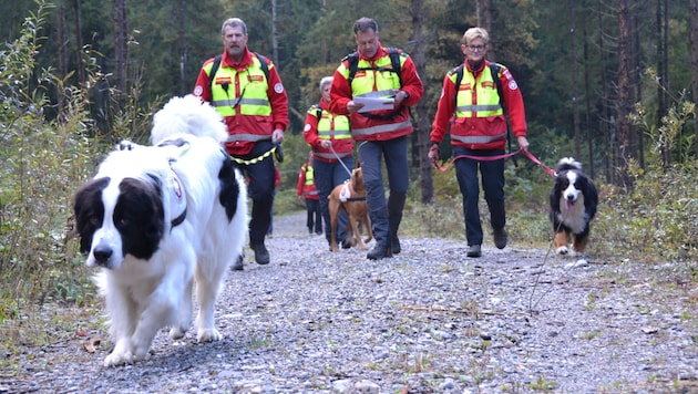 A search party from the Samaritans' rescue dog team. (Bild: Fister Katrin)