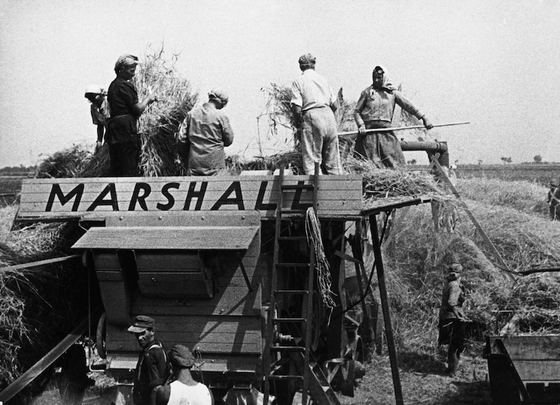 Ein landwirtschaftlicher Betrieb der Stadt Wien im Rahmen des Marshallplans (Bild: picturedesk.com/Austrian Archives / brandstaetter images / picturedesk.com)