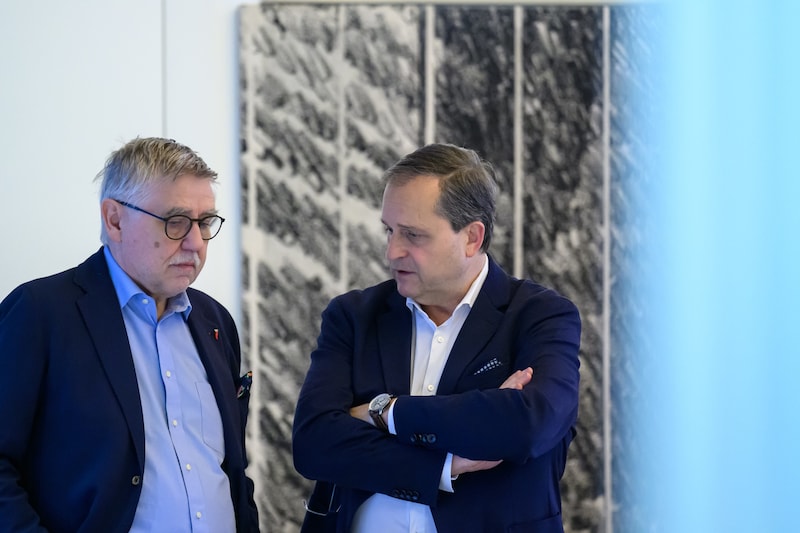 The businessman and the artist: Rainer Stadler (left) wants 204,800 euros from LIVA, Dietmar Kerschbaum 3 million euros. (Bild: Werner Kerschbaummayr/TEAM FOTOKERSCHI / KERSCHBAUMMAYR)