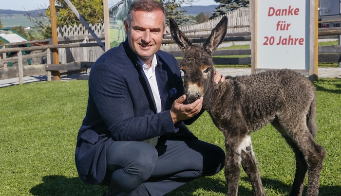 „Plötzlich lag es in der Box“, zeigt sich Gut Aiderbichl Chef Dieter Ehrengruber über den ...