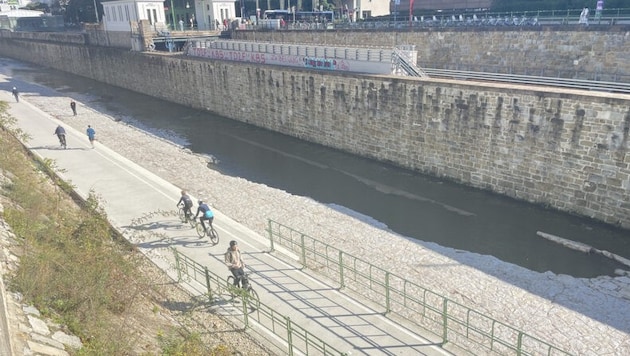 Despite the closure, cyclists and runners are out and about on the cycle path along the Wien River every day. (Bild: zur Verfügung gestellt)