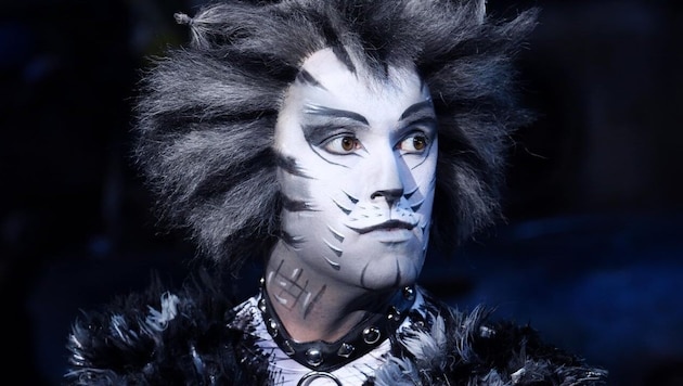 Musical "Cats": Fascinating costumes transform the singers into "real cats" (Bild: Alessandro Pinna)