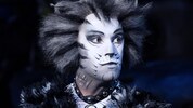 Musical „Cats“: Faszinierende Kostüme verwandeln die Sängerdarsteller in „wahre Katzen“