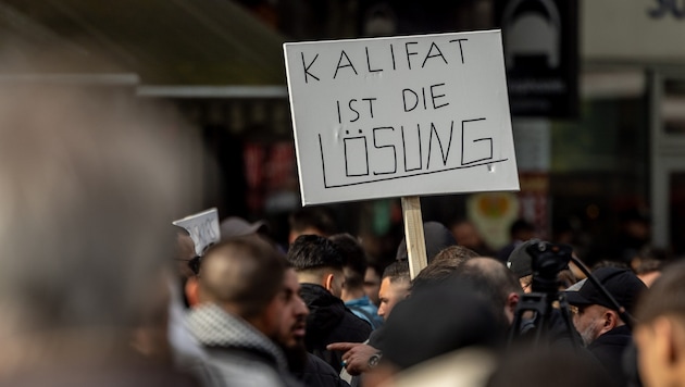 At a demonstration in Hamburg in April by the same organizer, this sign by a participant caused a scandal (Bild: APA/DPA/AXEL HEIMKEN)