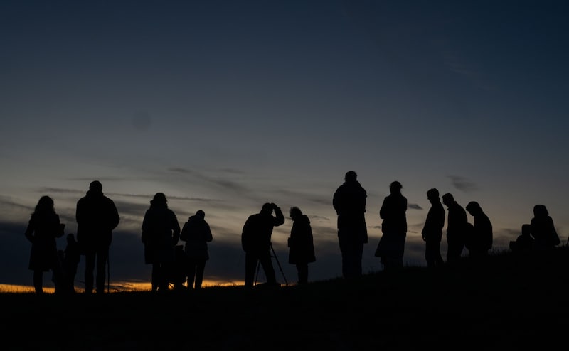 „Kometenjagd“ auf der Wiener Sophienalpe (Bild: APA/GEORG HOCHMUTH)