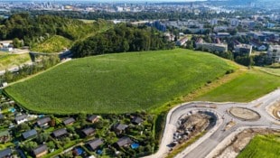 Hier hätte die neue Uni entstehen sollen. Nach dem Nein des Linzer Vizebürgermeisters Dietmar Prammer wird jetzt ein neuer Standort gesucht.  (Bild: picturedesk.com/WERNER KERSCHBAUMMAYR / fotokerschi / picturedesk.com)