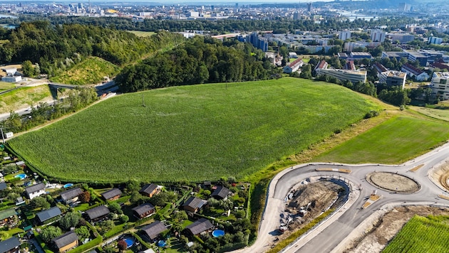 The new university should have been built here. After Linz's Deputy Mayor Dietmar Prammer said no, a new location is now being sought. (Bild: picturedesk.com/WERNER KERSCHBAUMMAYR / fotokerschi / picturedesk.com)