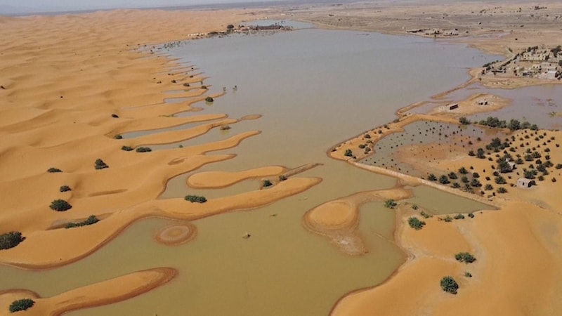 A rare sight: A landscape of lakes in the desert. (Bild: kamaeraone)