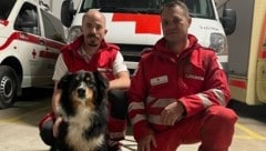 Vermissten aufgespürt: Rotkreuz-Suchhund „Prinzessin Leia“ mit Hundeführer Christoph Wilfinger (links) und Helfer Mario Weninger. (Bild: Lena Tesch)