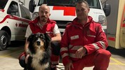 Vermissten aufgespürt: Rotkreuz-Suchhund „Prinzessin Leia“ mit Hundeführer Christoph Wilfinger ...