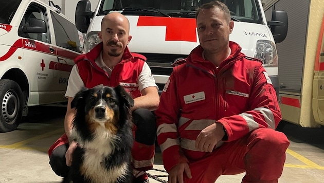 Missing person tracked down: Red Cross search dog "Princess Leia" with dog handler Christoph Wilfinger (left) and helper Mario Weninger. (Bild: Lena Tesch)