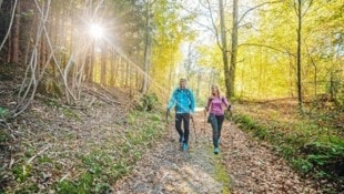 Wandern rund um den Wörthersee: auch im Herbst gefragt (Bild: martin hofmann)