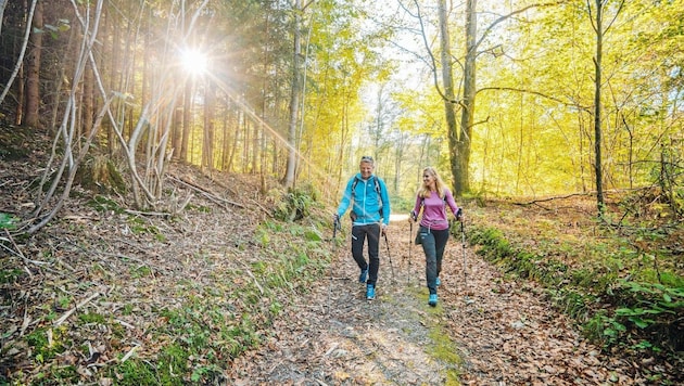 Hiking around Lake Wörthersee: also popular in the fall (Bild: martin hofmann)