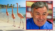 Aruba soll in Zukunft nicht nur für schöne Strände und bunte Tierwelt bekannt sein – Willi ...