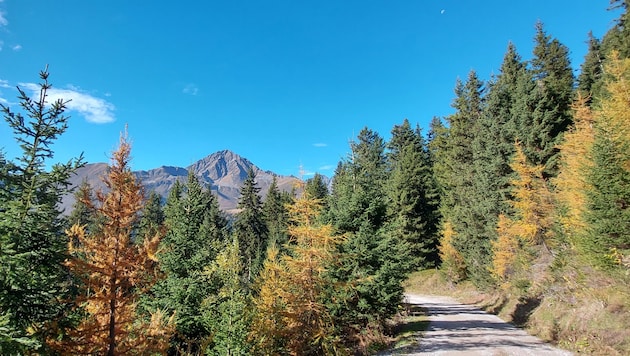 From today's perspective, Wednesday will be a "golden fall day" (Bild: Rauth Hubert)