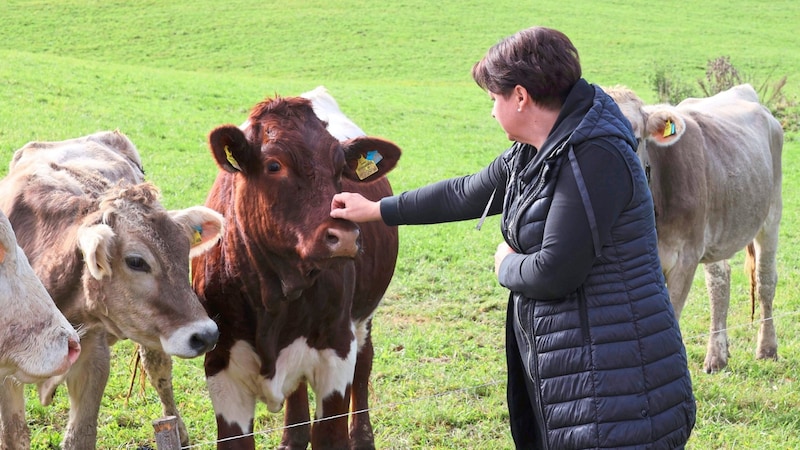 Margret Karelly mit ihren Kühen (Bild: Jauschowetz Christian/Christian Jauschowetz)