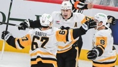 Yevgeny Malkin (center) celebrates with his teammates. (Bild: AP ( via APA) Austria Presse Agentur/ASSOCIATED PRESS)