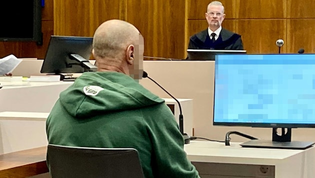 A 56-year-old truck driver had to answer to a jury in Graz on Tuesday for two counts of attempted murder. (Bild: APA/KARIN ZEHETLEITNER)