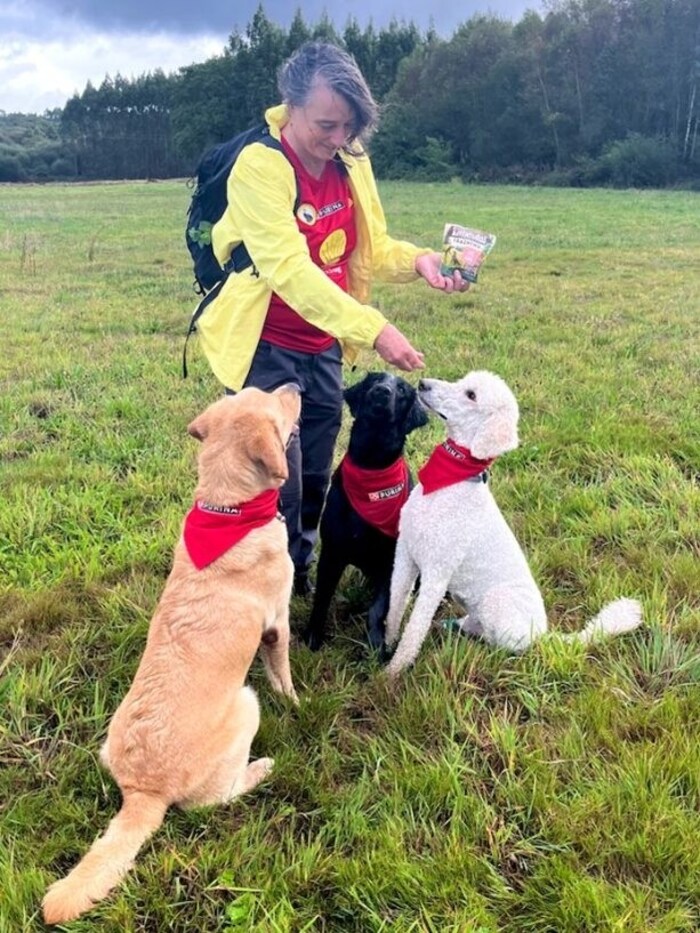 Umgeben von Assistenzhunden – und in dem Fall natürlich Blindenführhunden - fühlt sich Ingrid ...