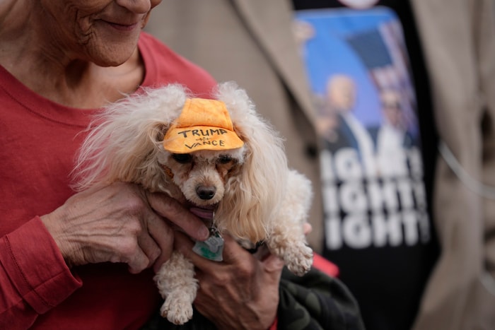 This dog was also dragged along to the election campaign.