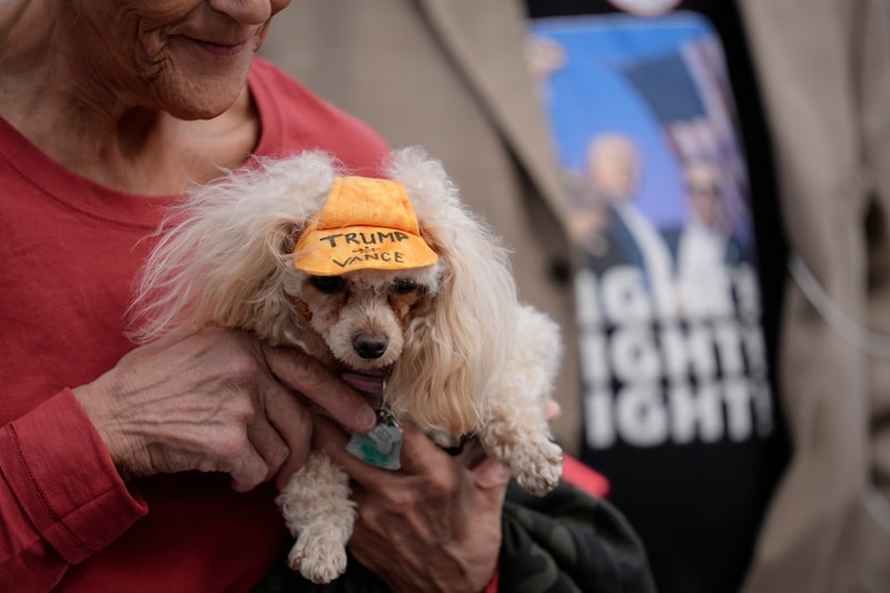 Auch dieser Hund wurde zu der Wahlkampf-Kampagne mitgeschleppt. (Bild: Copyright 2024 The Associated Press. All rights reserved.)