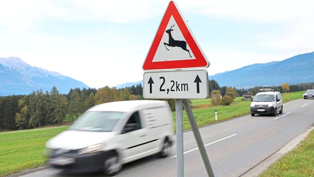 1600 wildlife accidents occur on average every year in Tyrol. Caution is therefore required not only, but especially in the fall. (Bild: Birbaumer Christof)