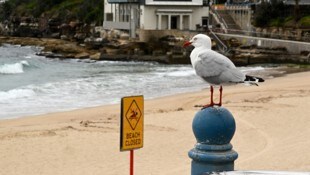Der Strand wurde wegen des mysteriösen Schwemmguts gersperrt.
