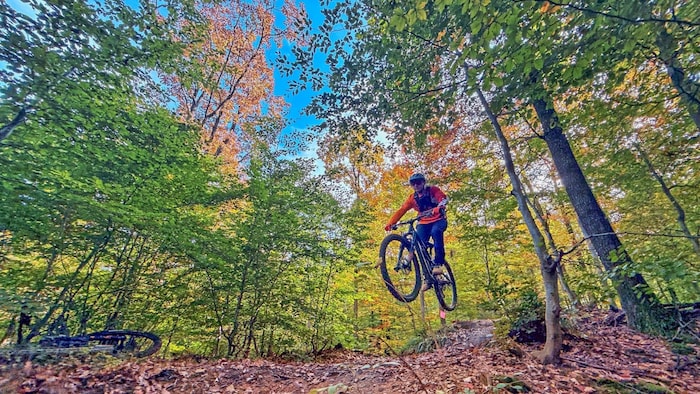 Malerisch führen die Burgenland Trails durch die Herbstlandschaft.