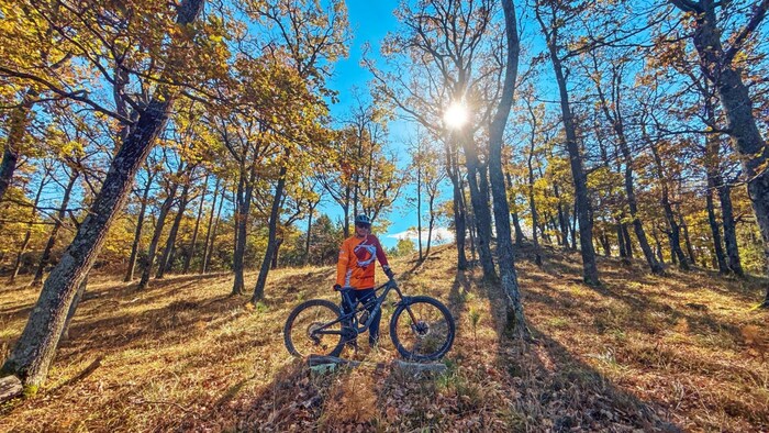 Einfach zum Genießen: Biken im malerischen Herbstwald.