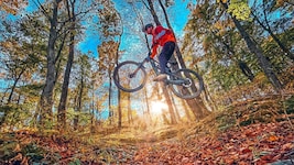 Besonders im Herbst macht das Mountainbiken auf den Burgenland Trails Spaß. (Bild: Wallner Hannes)