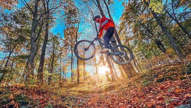 Mountain biking on the Burgenland trails is particularly fun in the fall. (Bild: Wallner Hannes)