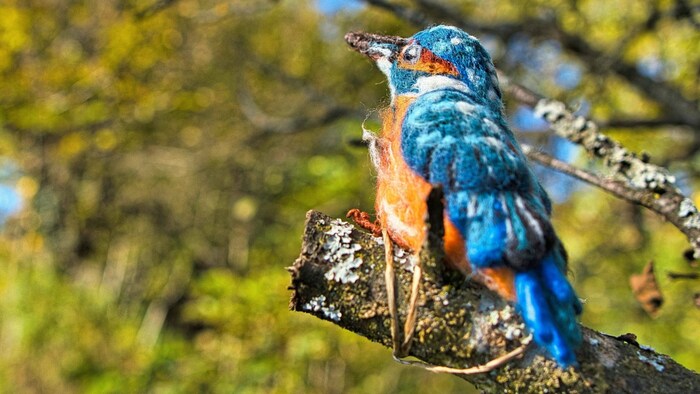 Auch diesen farbenfrohen Eisvogel gibt es zu bestaunen. 