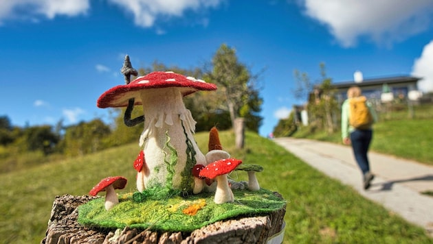 Für die ganz Familie gibt es bei dieser Wanderung viel zu entdecken. (Bild: Weges)