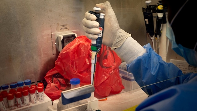 Laboratory workers in Rwanda (Bild: APA/AFP/Simon Wohlfahrt)