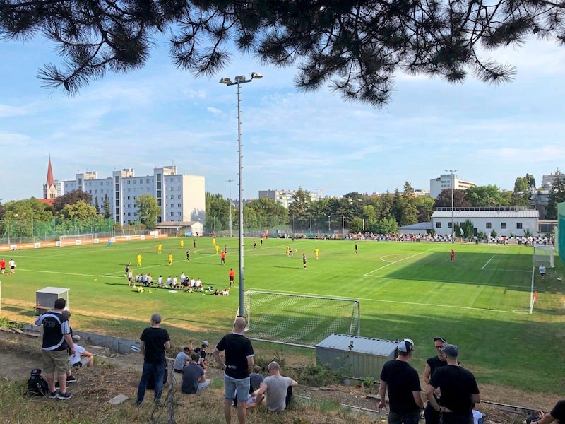 Sportclub currently plays its home matches in the Regionalliga Ost at the training center in Erdbrustgasse. (Bild: Wiener Sportclub)