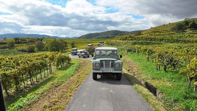 The Wachau-Safari team offers special experiences in a special region. (Bild: yukon-Akademie)