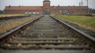 Am Montag jährt sich die Auschwitz-Befreiung zum 80. Mal. Im Parlament sowie am Heldenplatz findet eine Gedenkveranstaltung statt. (Bild: REUTERS)