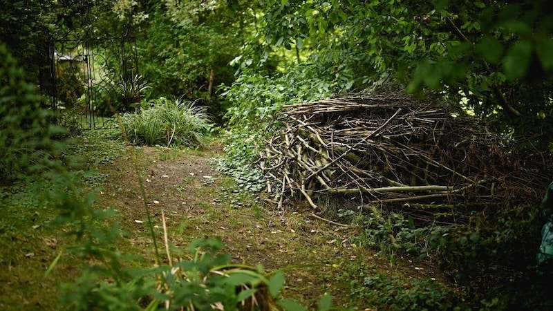 In einem igelfreundlichen Garten sollte es einen Totholzbereich geben. (Bild: Wenzel Markus/Markus Wenze)