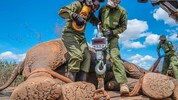 In Kenia hat die Umsiedlung von Elefanten vom Mwea-Reservat in den größeren ...