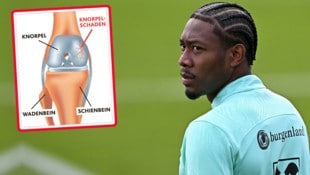 David Alaba erlitt nicht nur einen Kreuzbandriss, sondern auch einen Knorpelschaden. Aktuell arbeitet er hart am Comeback. (Bild: AFP or licensors)