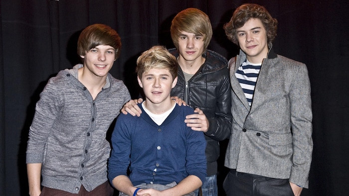 Louis Tomlinson, Niall Horan, Liam Payne and Harry Styles