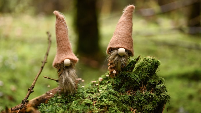 Materialien für die süßen Dekoartikel finden sich viele in der Natur.