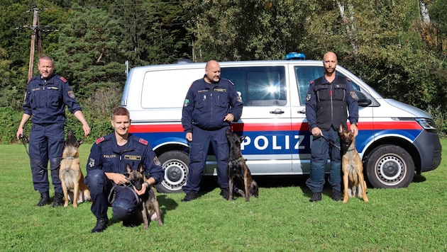 Four Tyrolean dog handlers with their four-legged partners in Jenbach: Thomas, Dominik, Dietmar and Alex (from left) (Bild: Anna Terleth)