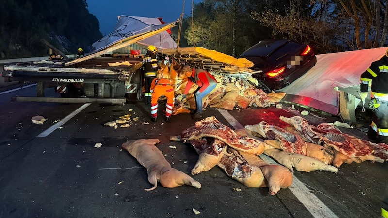 30 firefighters had to remove the meat products. (Bild: FF Spittal an der Drau, Krone KREATIV)