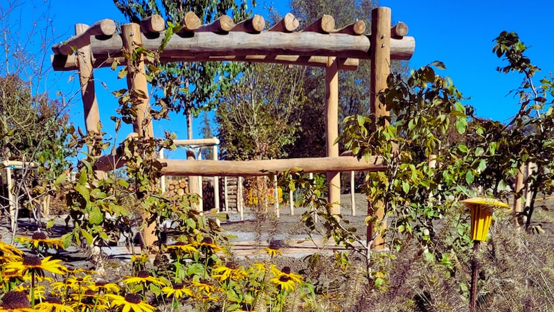 "Nature in the garden" pergola in the fall (Bild: LGS Schärding)