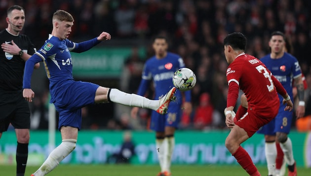 Can Chelsea's Cole Palmer score against Liverpool today? (Bild: APA/AFP/Adrian DENNIS)